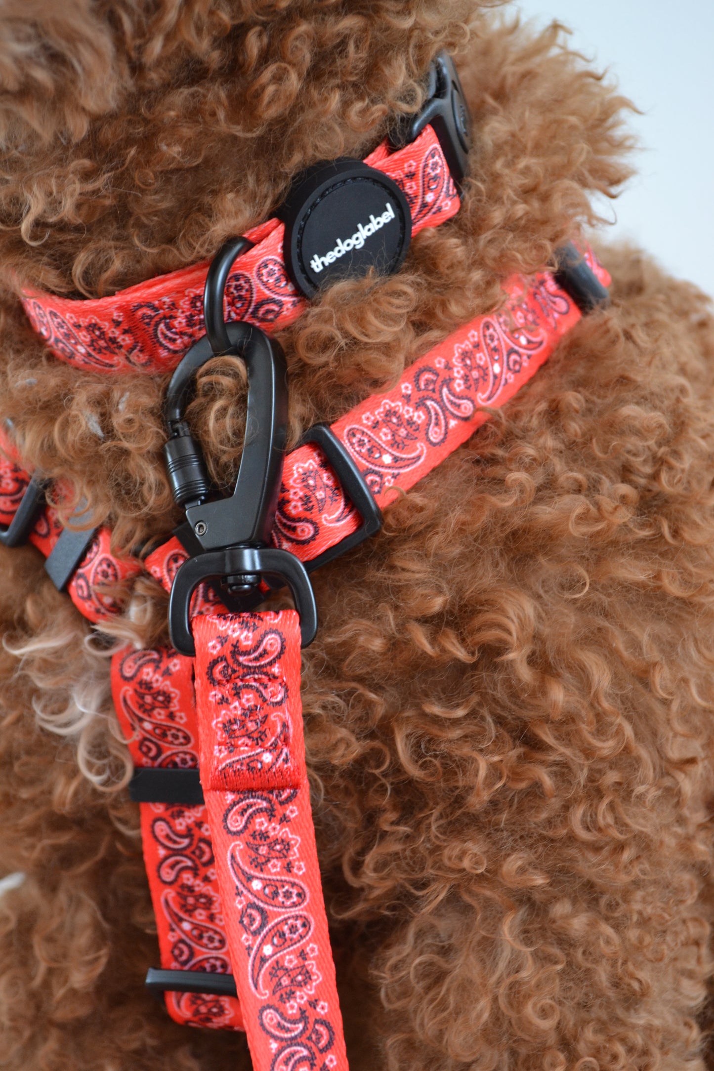 thedoglabel Walking set