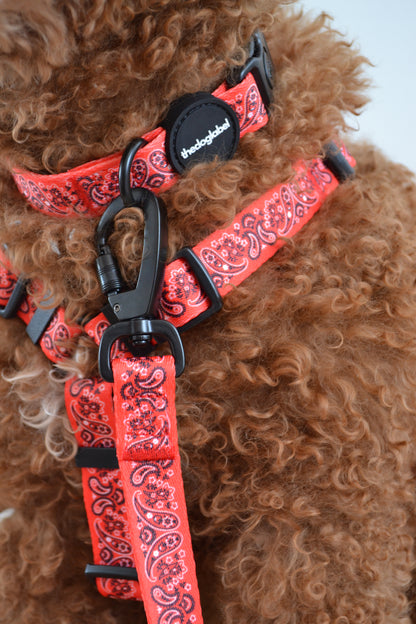 thedoglabel Walking set