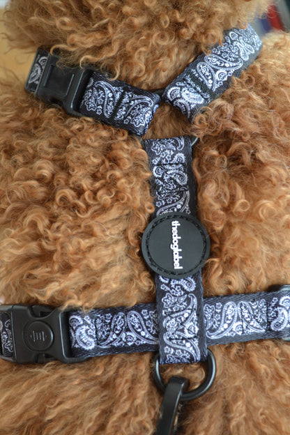 thedoglabel Walking set