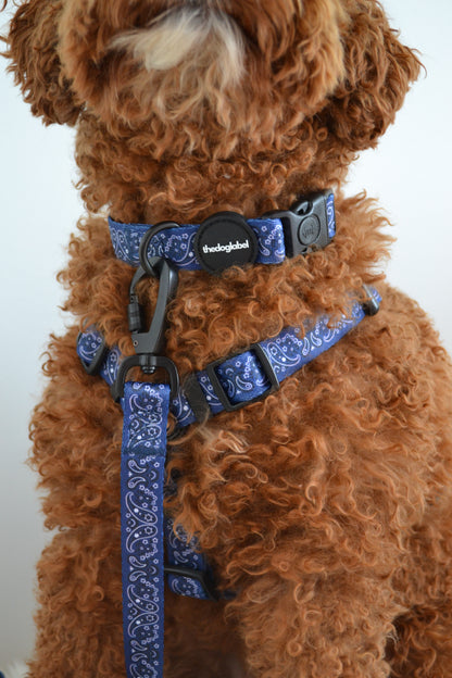 thedoglabel Walking set