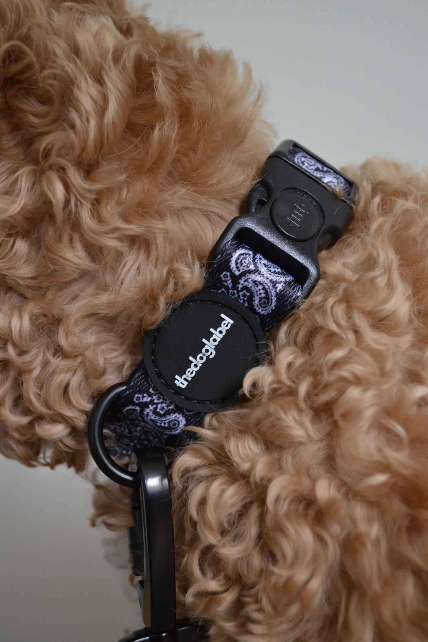 thedoglabel Walking set