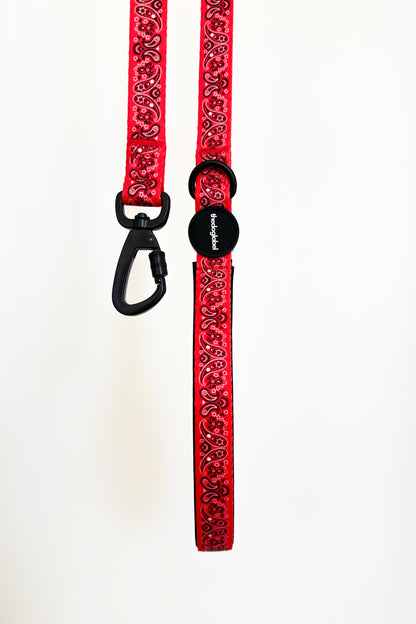 thedoglabel Leash