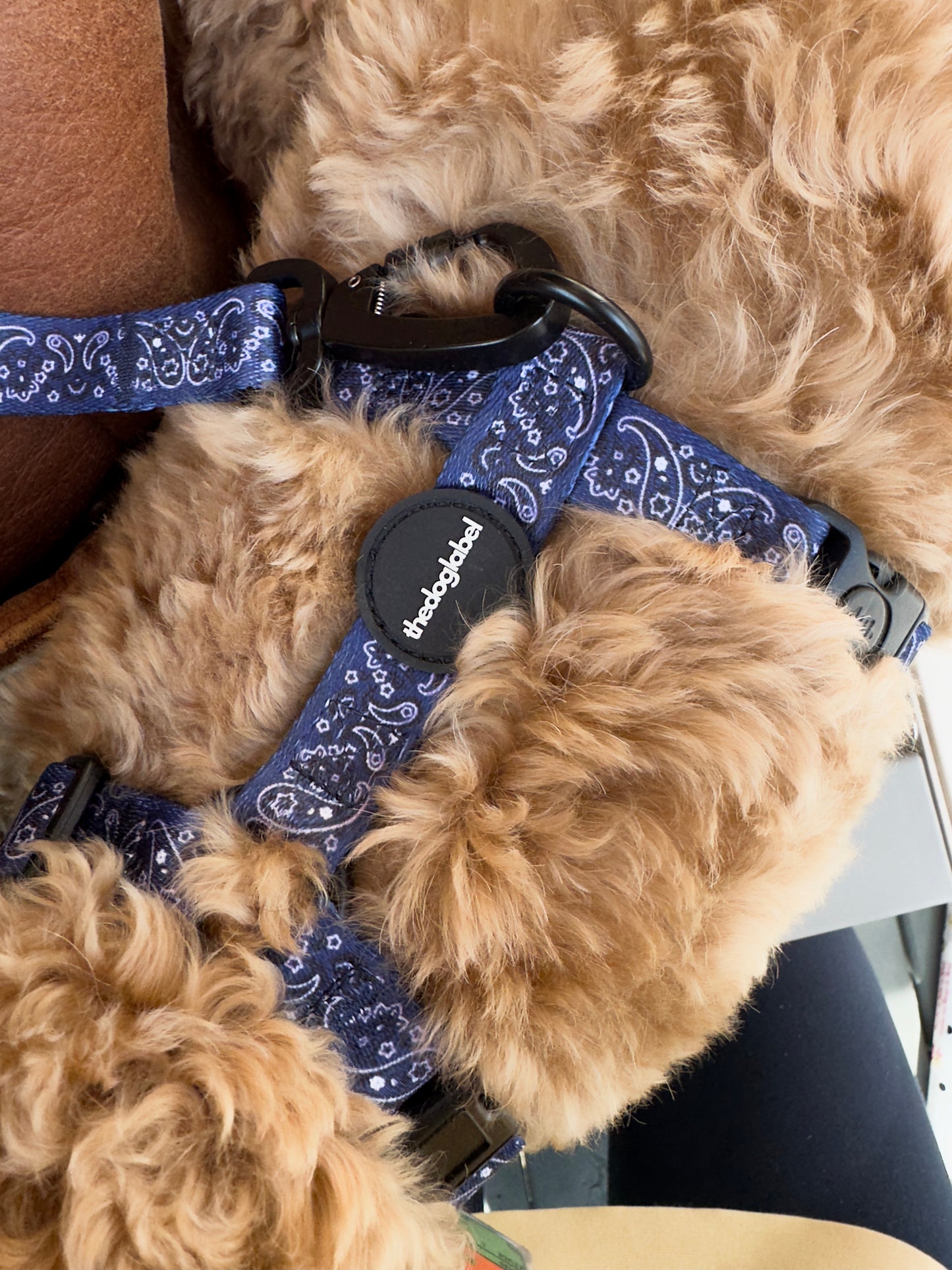 thedoglabel Harness