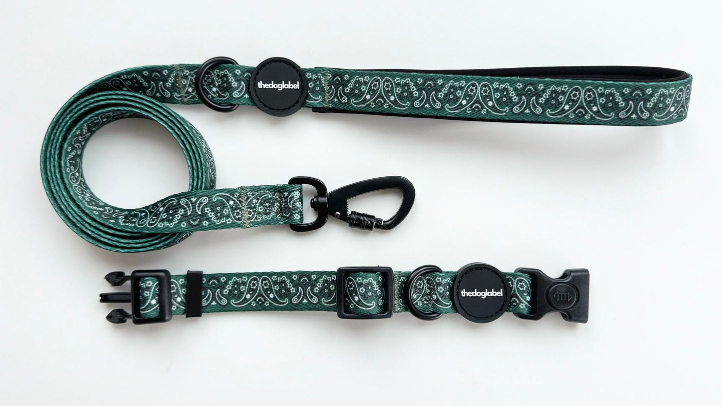 thedoglabel Walking set
