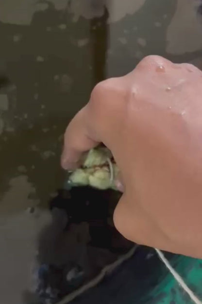 Handcrafted Silk Carré