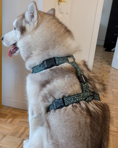 thedoglabel Harness